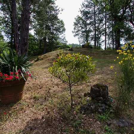 Manini Appartement *